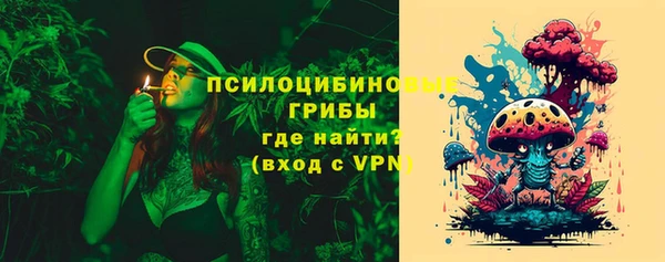 СК Алексин