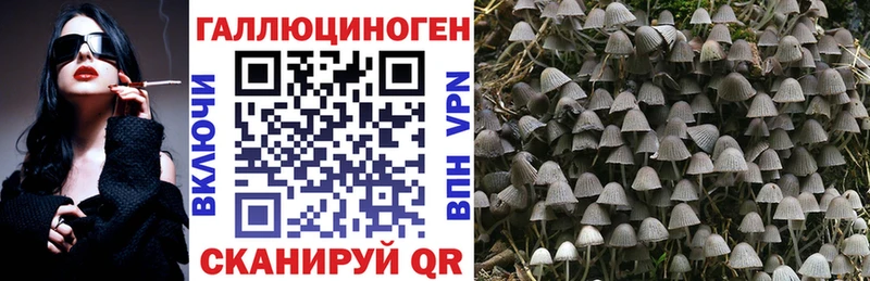 Галлюциногенные грибы ЛСД  купить наркоту  Кукмор 